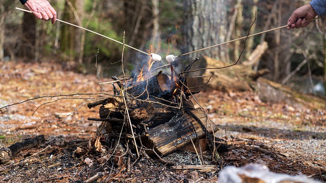 camping marshmallow sticks